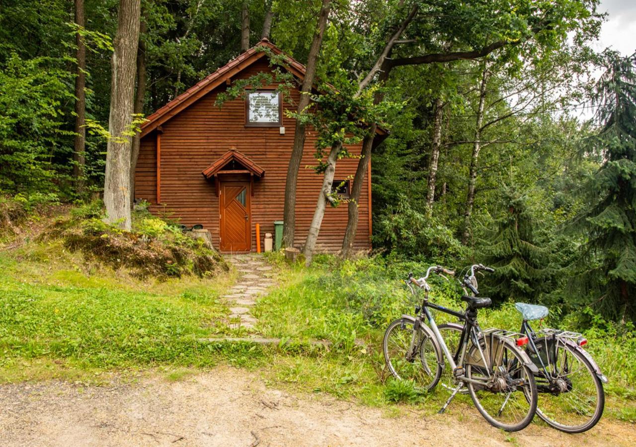 Cezar Naturyzm Bielsko-Biała Exteriör bild